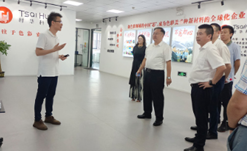 時(shí)任市委常委、副市長(zhǎng)王濤蒞臨材華科技參觀調(diào)研